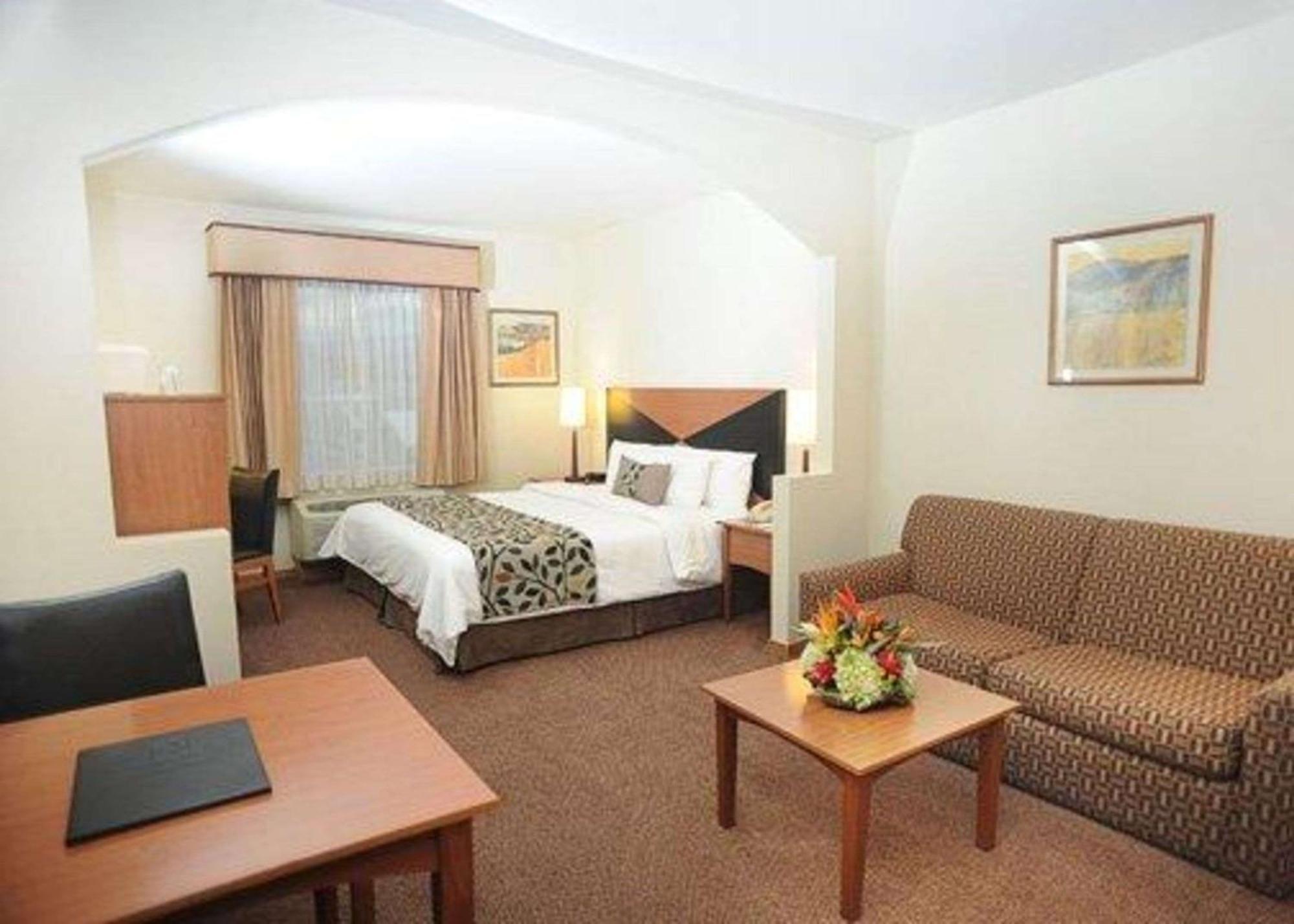 Junior Suite,567853743:JPEG