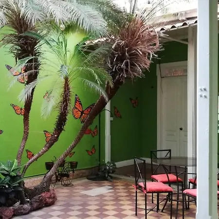 Casa Mayela Guest House-2